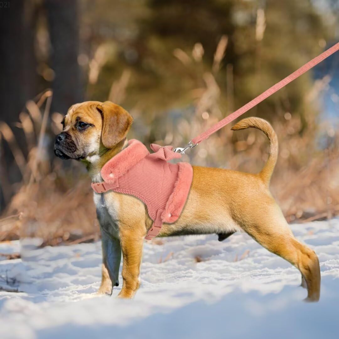 Cute Warm Small Dog Harness And Leash Set With Bow Tie, Soft Padded Puppy Harness With Removable Fur Collar, Adjustable Girl Dog Harness With Quick Release Buckles