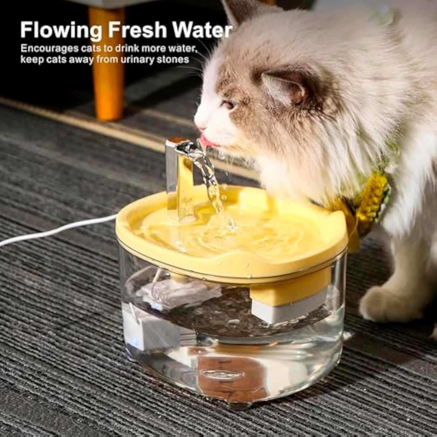 Cat Water Fountain, Premium 1500ml Pet Fountain For Cats Dogs Kitten, Automatic Pet Water Dispenser With Silent Pump, Water Level Visibility