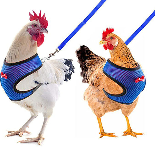 Pet Duck Chicken Poultry Chicken Clothes Chicken Vest Hen Belt Pet Harness Matching Collars Bow Poultry Supplies