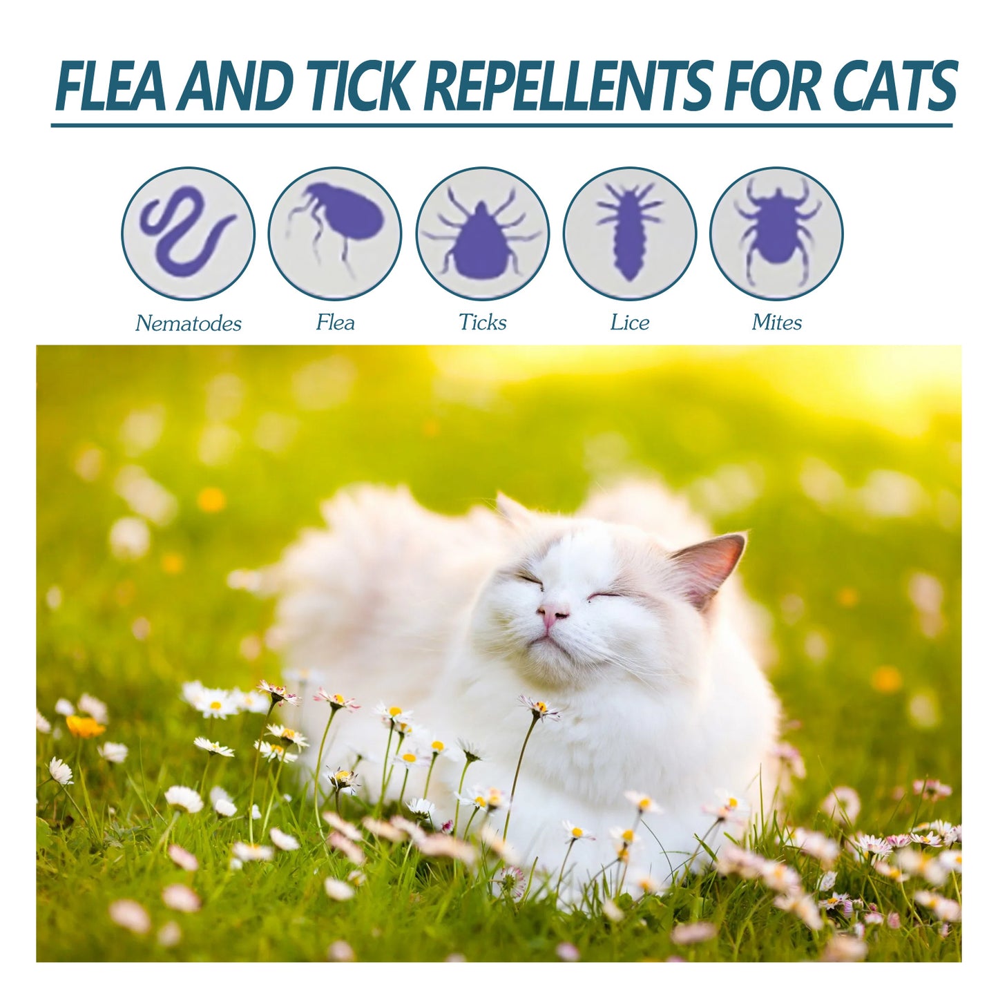 Pet Anti-Flea Tick Agent Cat & Dog Topical Deworm Skin Cleansing Tick Drops